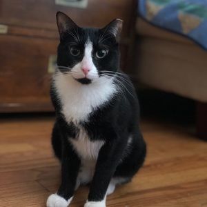 Meet your Posher, Kaying